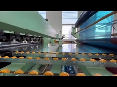 کویل آلومینیومی با پوشش رنگی